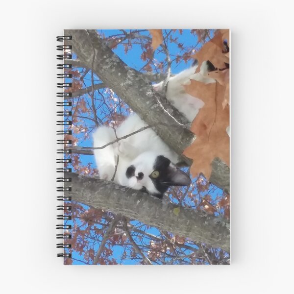Item preview, Cat in Tree Look Mom - Girly in the Tree designed and sold by f2error.