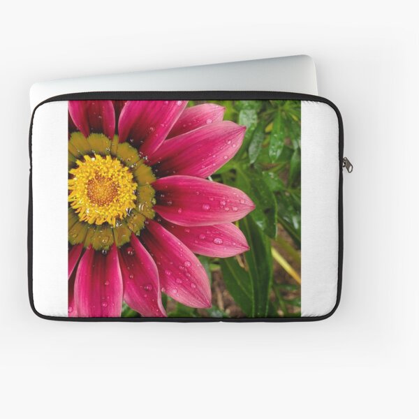 Echinachea flower with morning raindrops Laptop Sleeve