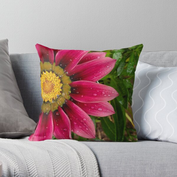 Echinachea flower with morning raindrops Throw Pillow