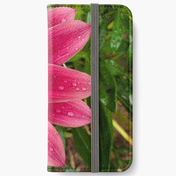Echinachea flower with morning raindrops iPhone Wallet