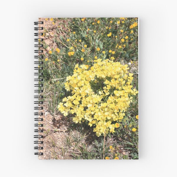 Item preview, Yellow Marsh Marigolds wildflowers designed and sold by zumi.