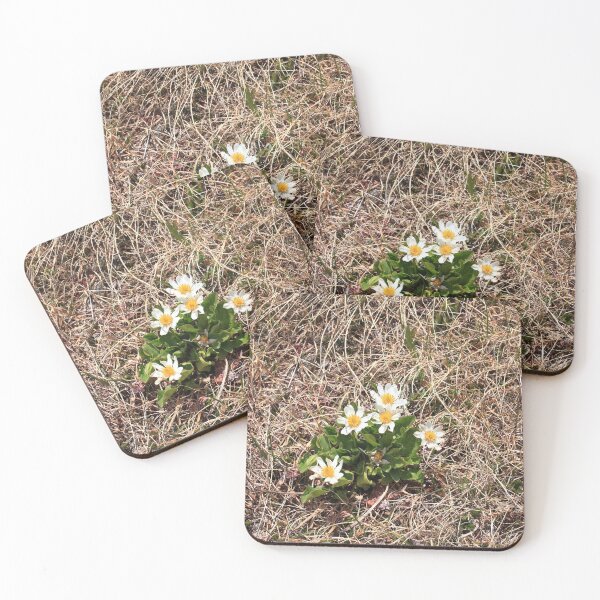 Item preview, White daisies wildflowers designed and sold by zumi.
