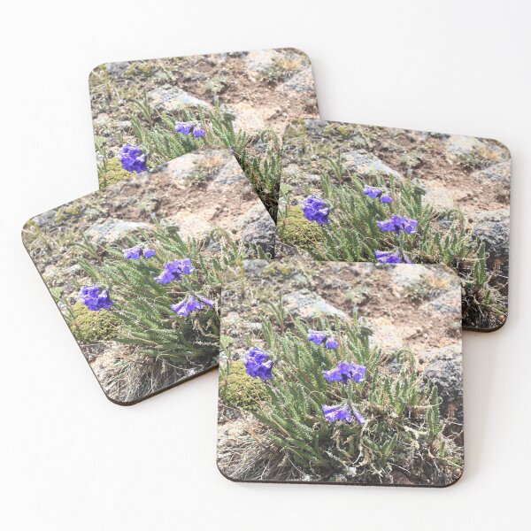 Item preview, Blue bell wildflowers designed and sold by zumi.