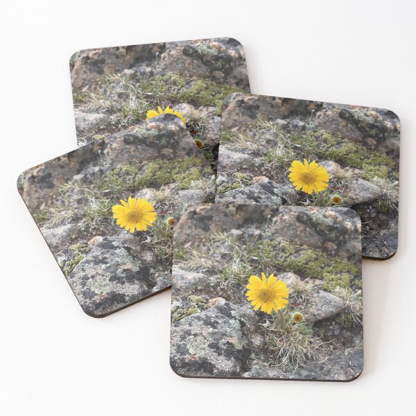 Item preview, Yellow sunflower wildflower designed and sold by zumi.