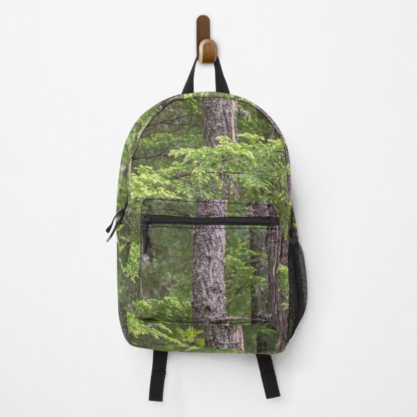 Item preview, Evergreen Forest - Manning Provincial Park designed and sold by Amy Mitchell.