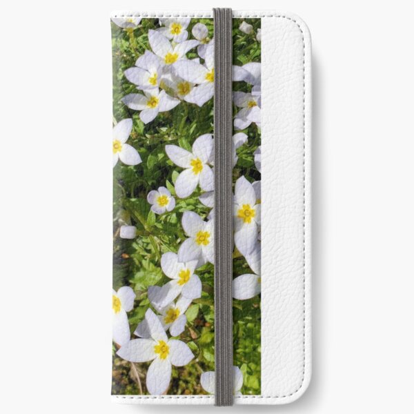Bluet on the Lawn iPhone Wallet