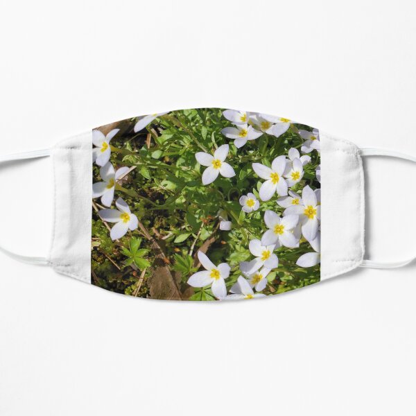 Bluet on the Lawn Mask