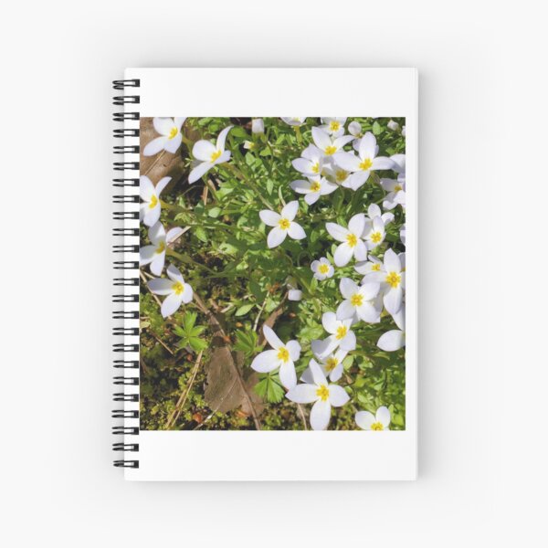 Bluet on the Lawn Spiral Notebook