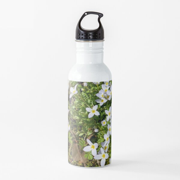 Bluet on the Lawn Water Bottle