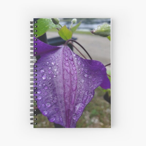 Purple Clematis with Raindrops - close up Spiral Notebook