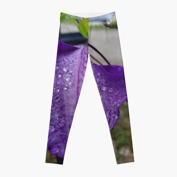 Purple Clematis with Raindrops - close up Leggings
