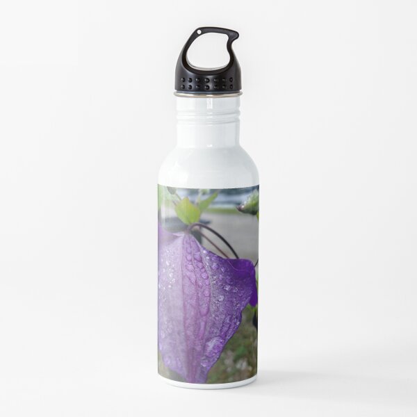 Purple Clematis with Raindrops - close up Water Bottle