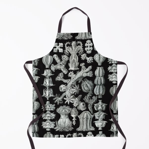 Item preview, Ernst Haeckel - Gorgonida designed and sold by ShaMiLaB.