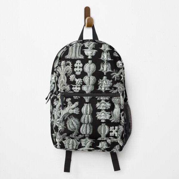 Item preview, Ernst Haeckel - Gorgonida designed and sold by ShaMiLaB.