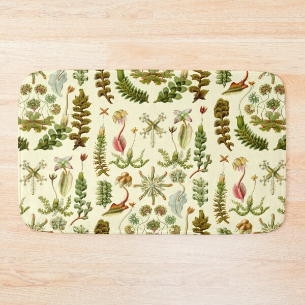 Item preview, Ernst Haeckel - Hepaticae designed and sold by ShaMiLaB.