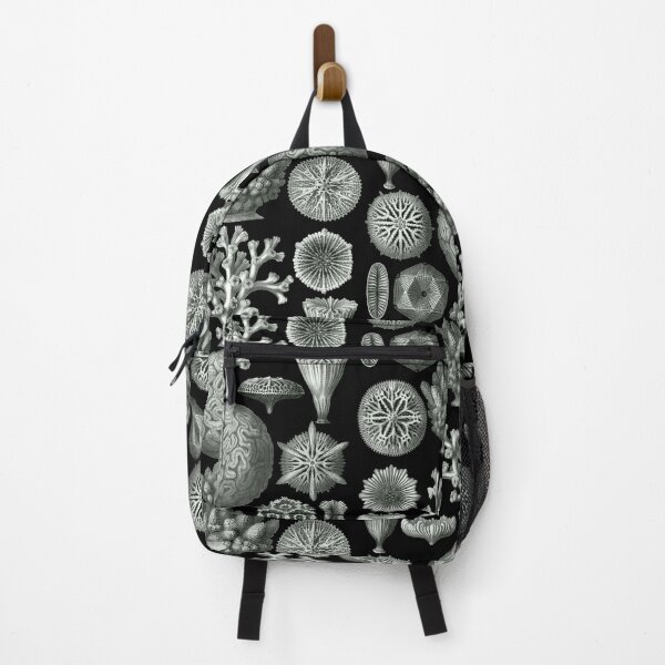 Item preview, Ernst Haeckel - Hexacorallia designed and sold by ShaMiLaB.