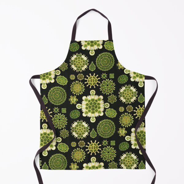 Item preview, Ernst Haeckel - Melethallia designed and sold by ShaMiLaB.