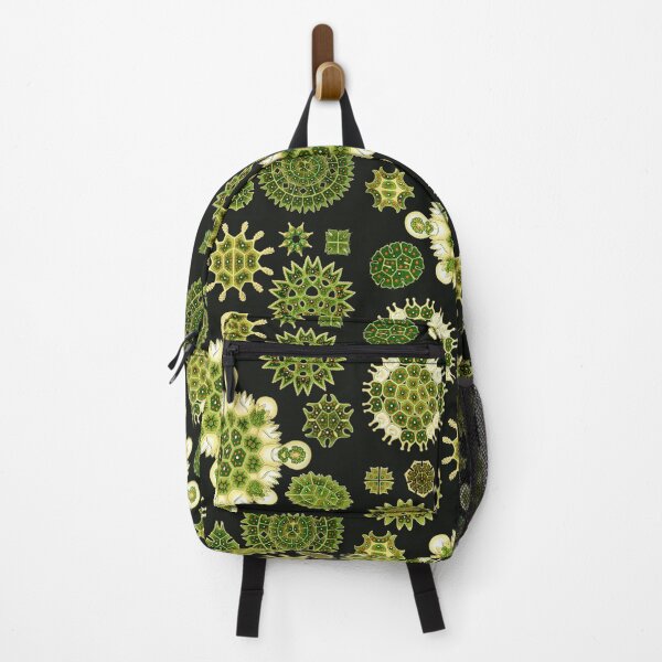 Item preview, Ernst Haeckel - Melethallia designed and sold by ShaMiLaB.