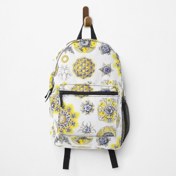 Item preview, Ernst Haeckel - Polycyttaria designed and sold by ShaMiLaB.