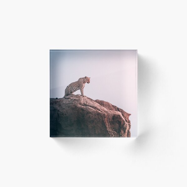 tiger Acrylic Block