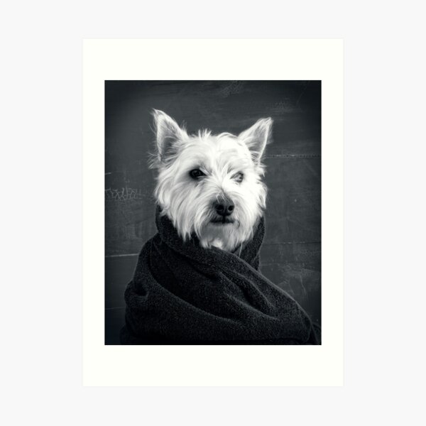 Portrait of a Westie Dog Art Print
