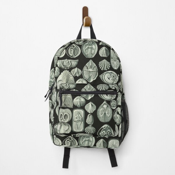 Item preview, Ernst Haeckel - Spirobranchia designed and sold by ShaMiLaB.