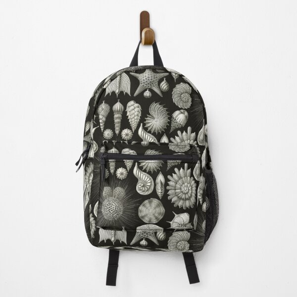 Item preview, Ernst Haeckel - Thalamphora (Seashells) designed and sold by ShaMiLaB.