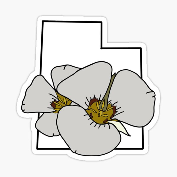 Utah State Flower Sticker - Sego Lily – brooklynswenson