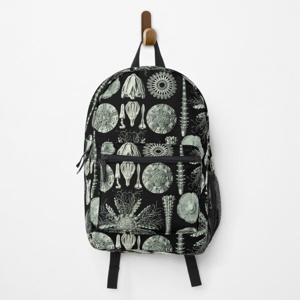 Item preview, Ernst Haeckel - Scientific Illustration - Echinidea (Sea Urchins) designed and sold by ShaMiLaB.