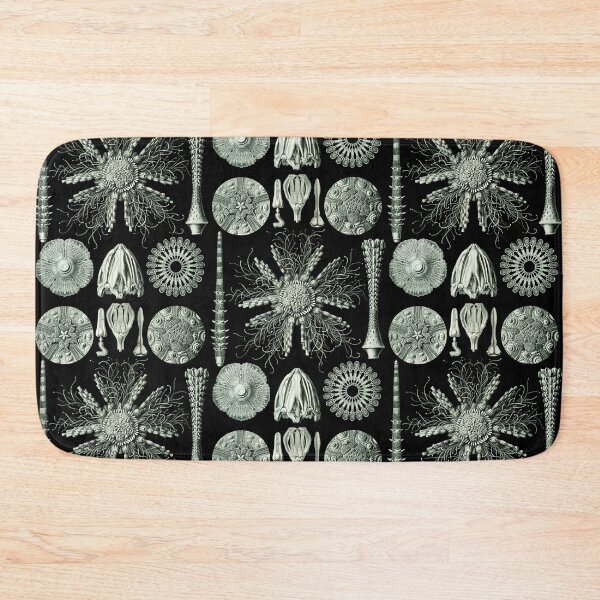 Item preview, Ernst Haeckel - Scientific Illustration - Echinidea (Sea Urchins) designed and sold by ShaMiLaB.