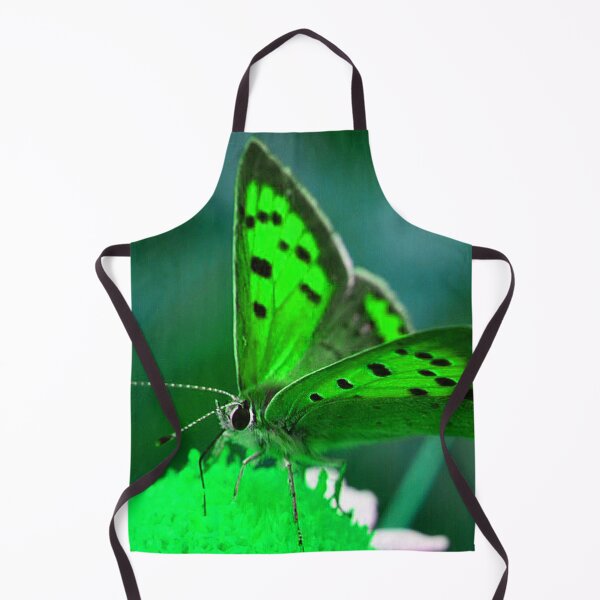 Item preview, Butterfly (MKW-I.8) designed and sold by Katrina Morgan.
