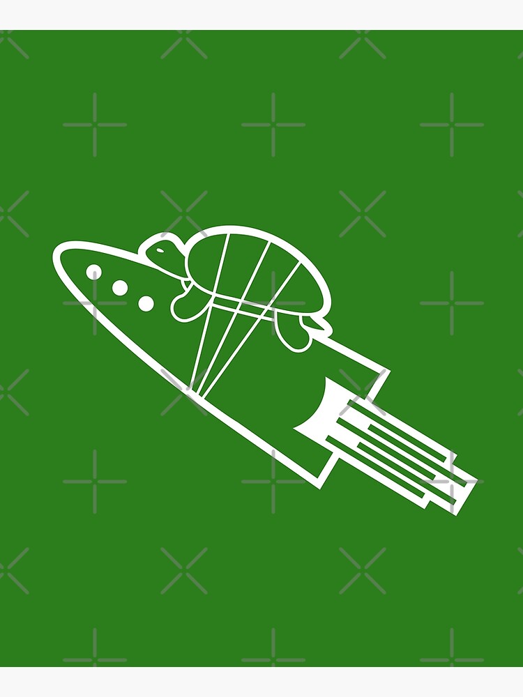 turtle riding rocket by kislev