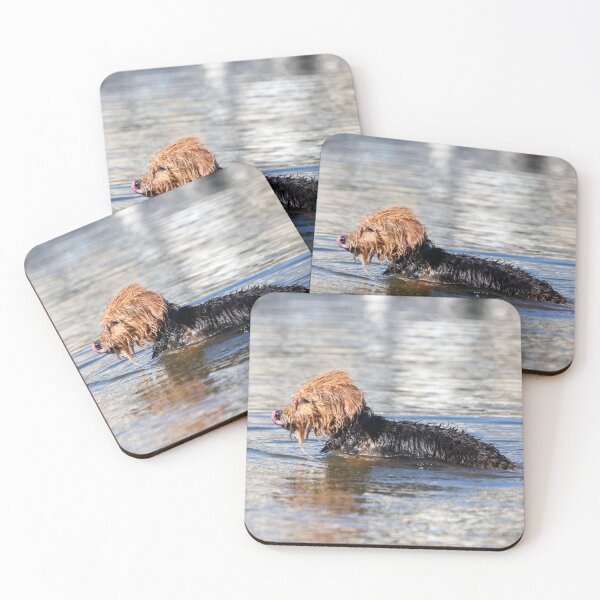 Item preview, Doggie paddle designed and sold by GreyFeatherPhot.