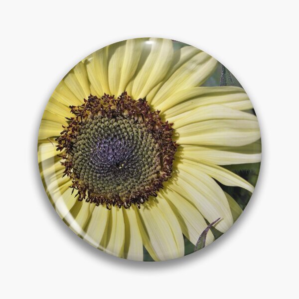Item preview, Star of the Show designed and sold by CJGrimes.