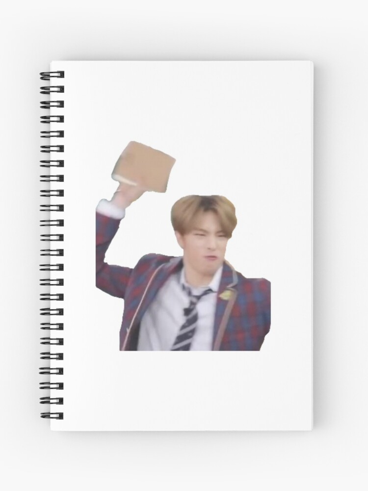 Stray Kids Hyunjin Book Meme