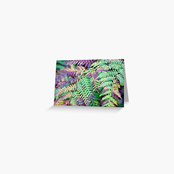 Item preview, Fernacular designed and sold by Harry Oldmeadow.