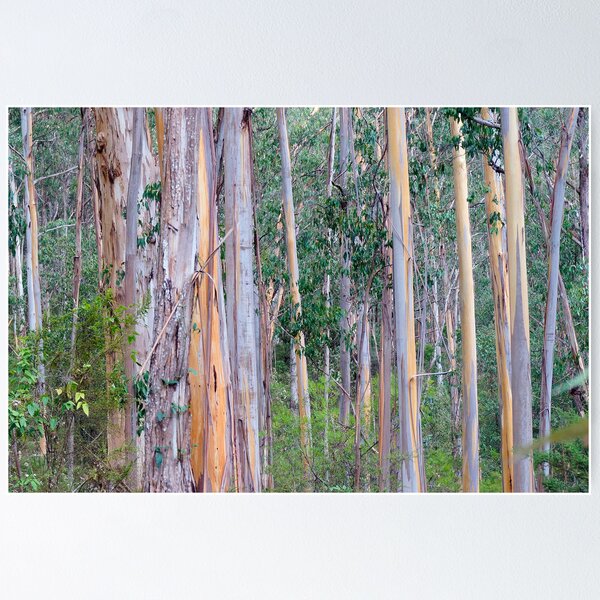 Item preview, Forest designed and sold by Harry Oldmeadow.
