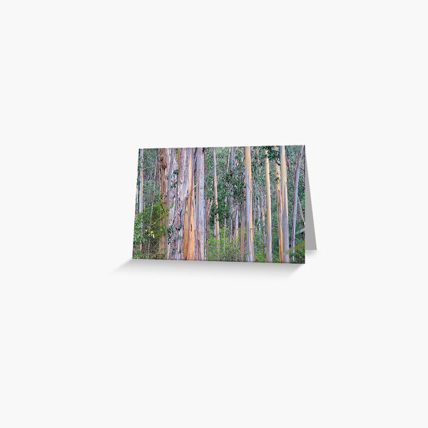 Item preview, Forest designed and sold by Harry Oldmeadow.