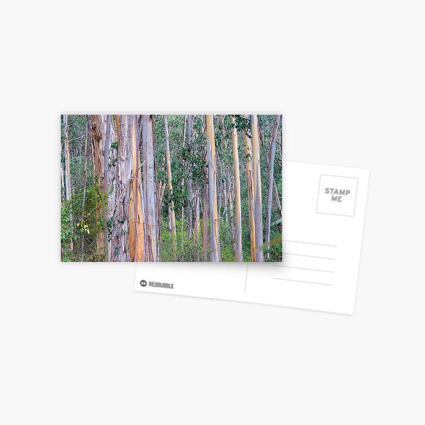 Item preview, Forest designed and sold by Harry Oldmeadow.