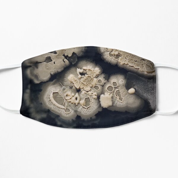 Bacillus Texture Mask
