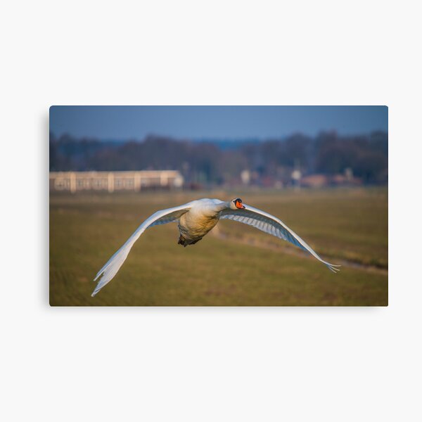 Item preview, Vision of flight designed and sold by THHoang.