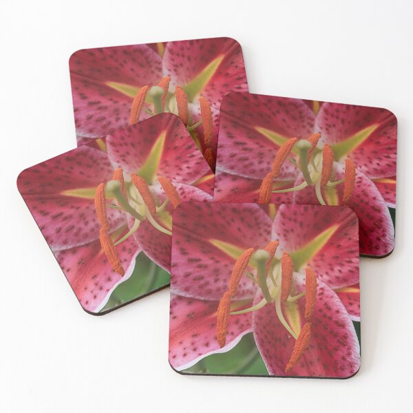 Artikelvorschau, Stargazer Lily entworfen und verkauft von Brenda Burnett.