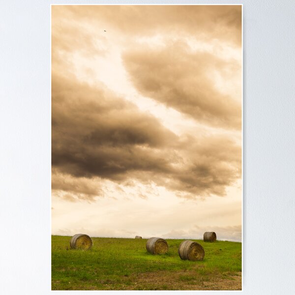 Hey, Hay Poster