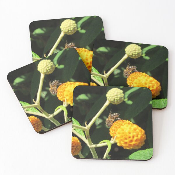 Item preview, Round Headed Buddleia designed and sold by WildandDivine.
