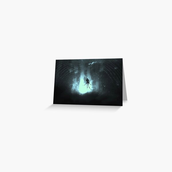 Window Catcher Greeting Card