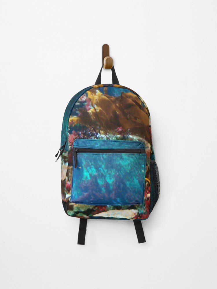 aquarium backpack