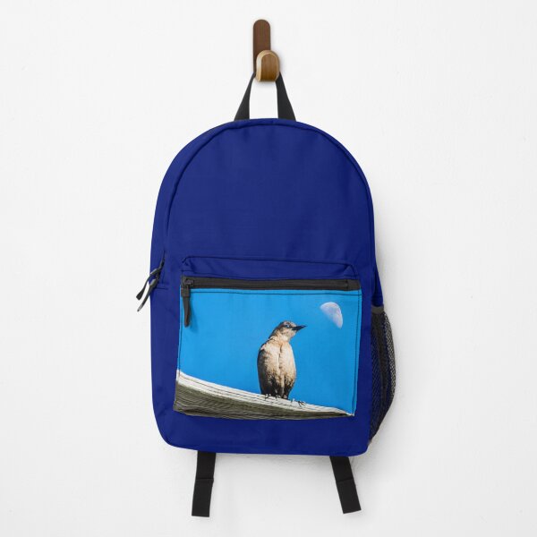 Item preview, Female, Boat Tailed Grackles designed and sold by KensLensDesigns.