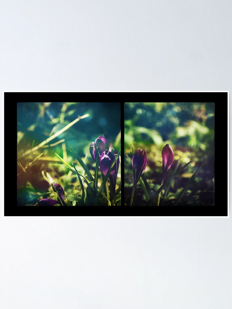Thumbnail 1 of 3, Poster, Spring Magic (Diptych) designed and sold by Sybille Sterk.