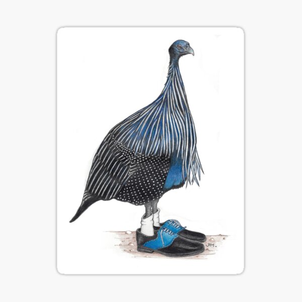 Guinea fowl in 2 tone wingtips Sticker
