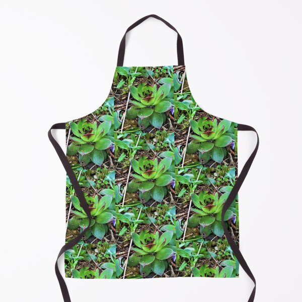 Item preview, Spring Succulent  designed and sold by CJGrimes.